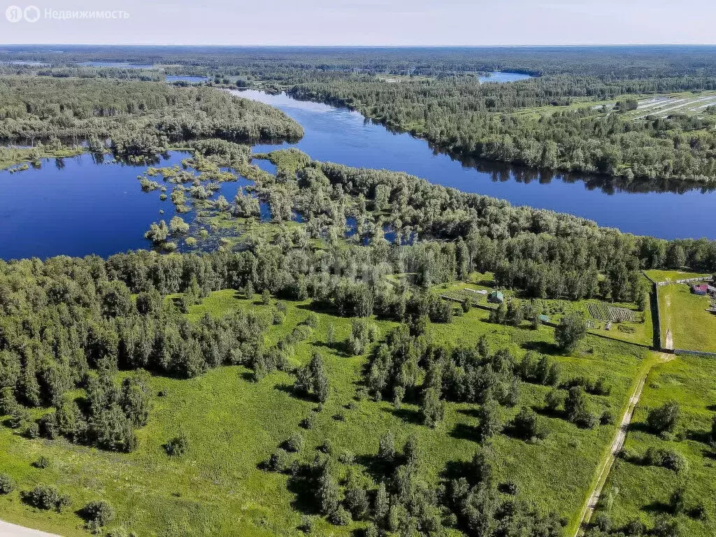 Участок в Нижнетавдинский район, село Андрюшино (20.6 м) - Фото 0