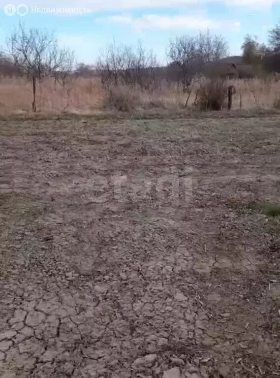 Участок в Амурская область, городской округ Благовещенск, село ... - Фото 2
