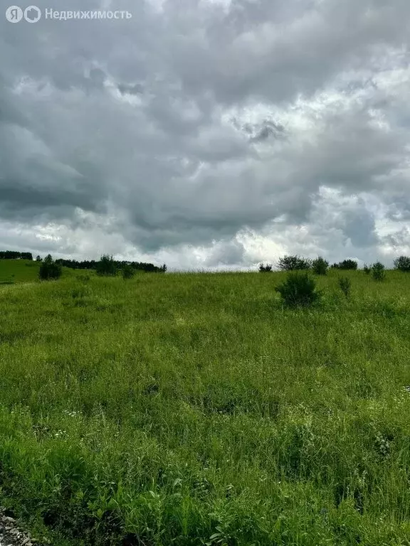 Участок в Солонешенский район, село Искра, Центральная улица (6000 м) - Фото 0