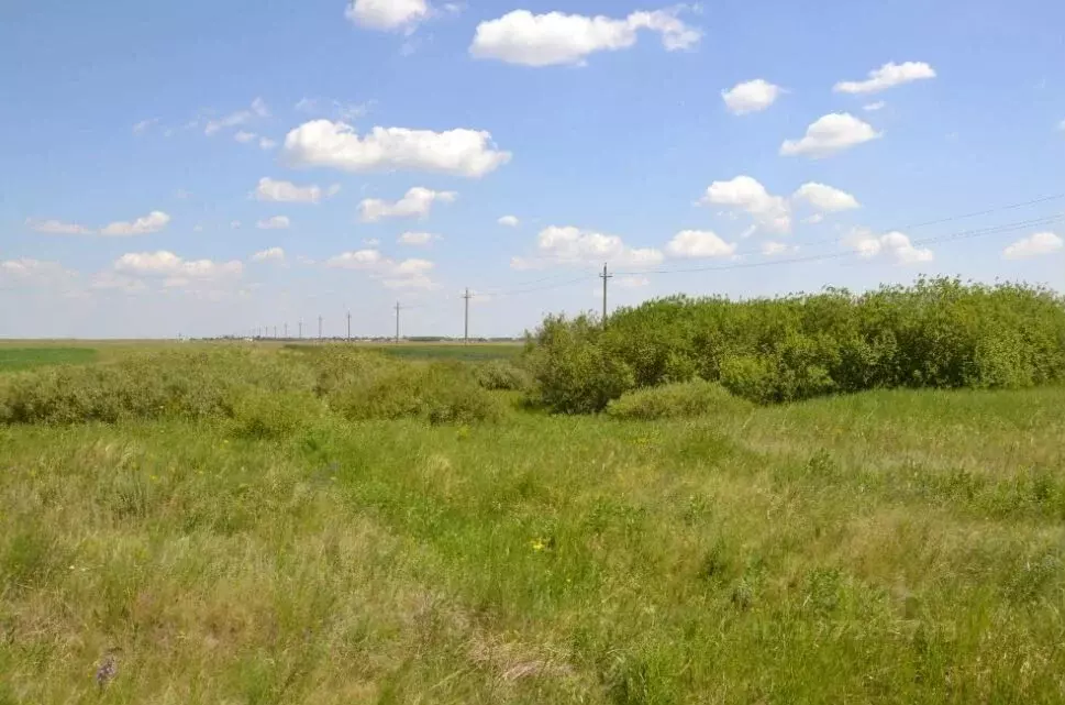 Участок в Красноярский край, Сосновоборский муниципальный округ, с. ... - Фото 1