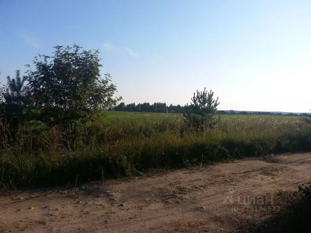 Участок в Ленинградская область, Приозерский район, Плодовское с/пос, ... - Фото 2