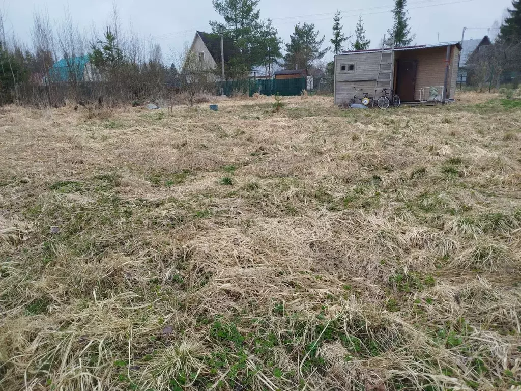 Участок в Ленинградская область, Гатчинский район, Новинка ... - Фото 1