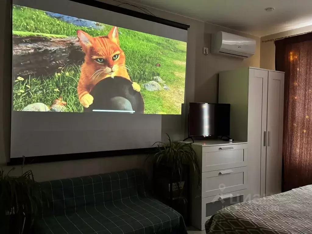 Студия Московская область, Красногорск городской округ, д. Глухово ул. ... - Фото 1