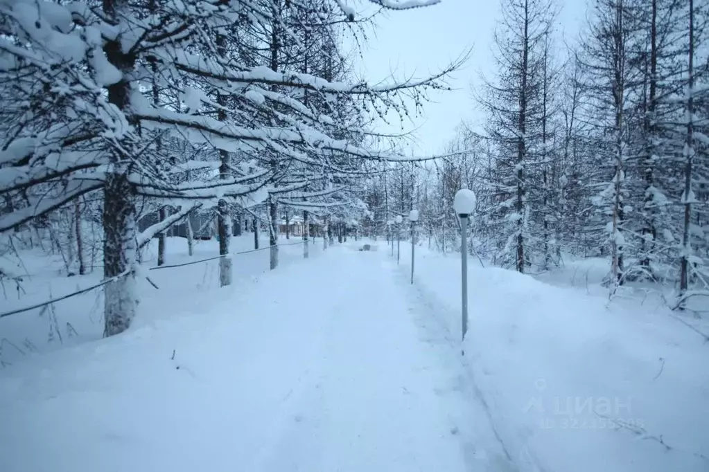 Офис в Ямало-Ненецкий АО, Новый Уренгой Таежная ул., 129 (753 м) - Фото 2