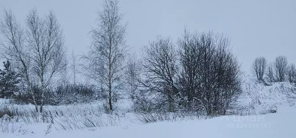 Участок в Московская область, Луховицы муниципальный округ, д. ... - Фото 0