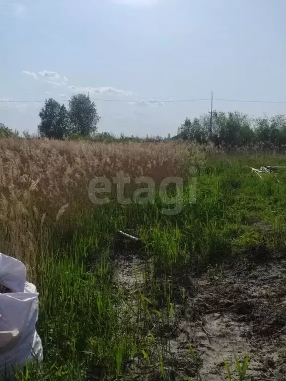 Участок в Тюменская область, Тюмень Россиянка садовое товарищество, ... - Фото 1