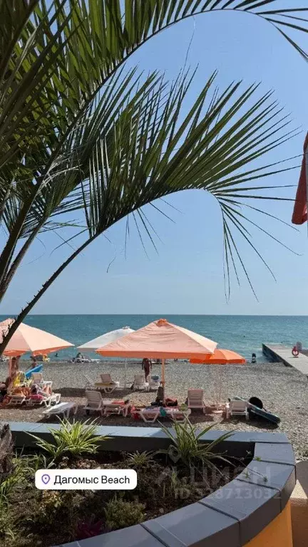 2-к кв. Краснодарский край, Сочи городской округ, Дагомыс пгт ул. ... - Фото 2