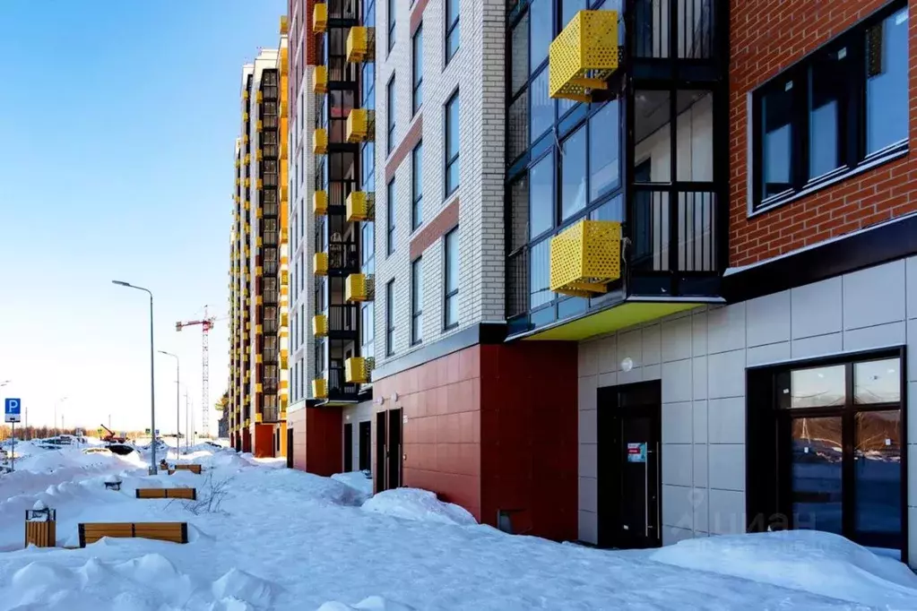 Помещение свободного назначения в Московская область, Балашиха ул. ... - Фото 2