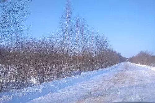 Участок в Новгородская область, Новгородский район, Борковское с/пос, ... - Фото 1