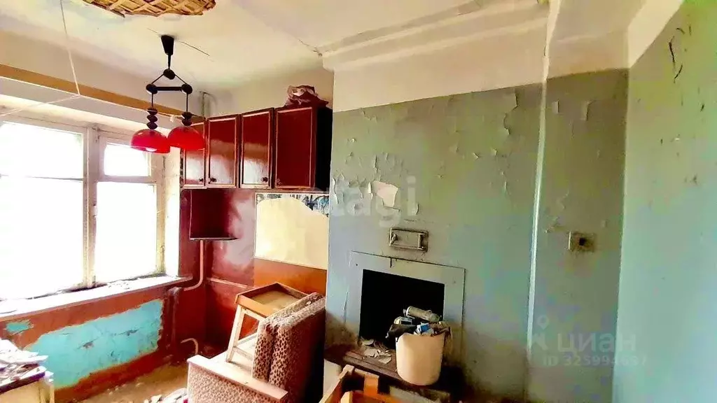 2-к кв. Псковская область, Псковский район, Середкинская волость, с. ... - Фото 2