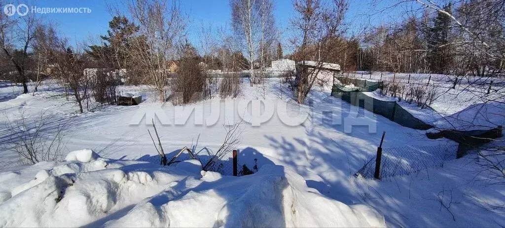 Участок в Новосибирск, Заельцовский район (11.98 м) - Фото 2