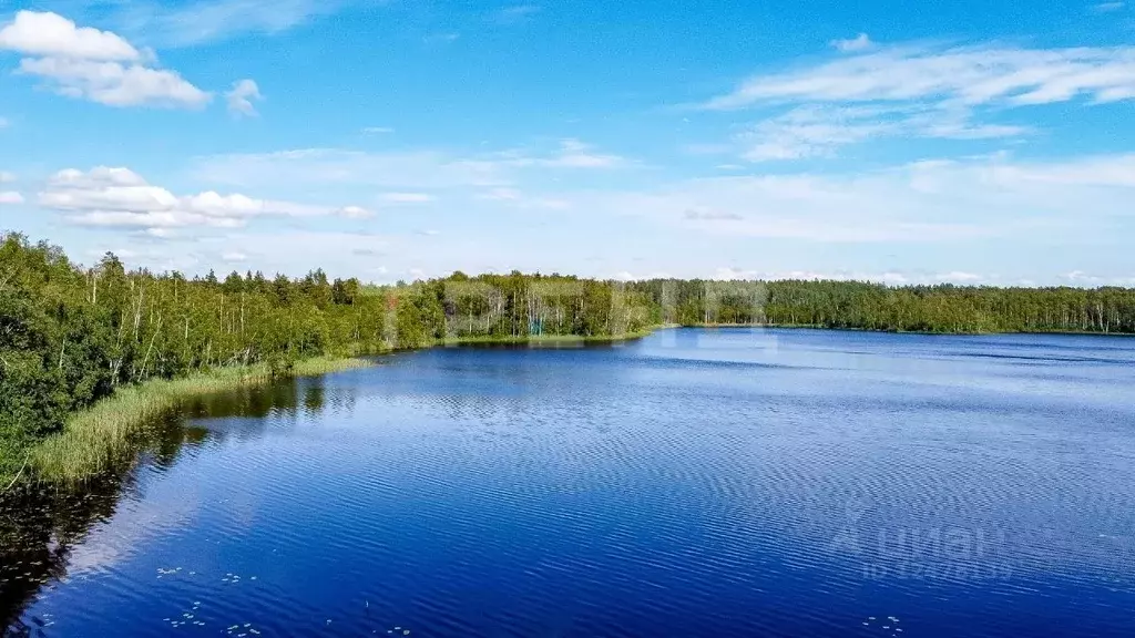 Участок в Ленинградская область, Выборгский район, Советское городское ... - Фото 0