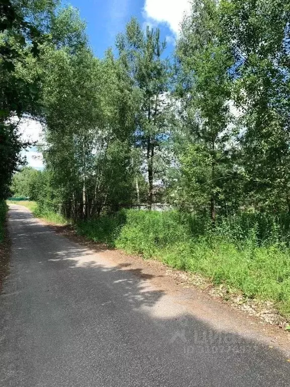 Участок в Калужская область, Бабынинский район, Муромцево с/пос, с. ... - Фото 2