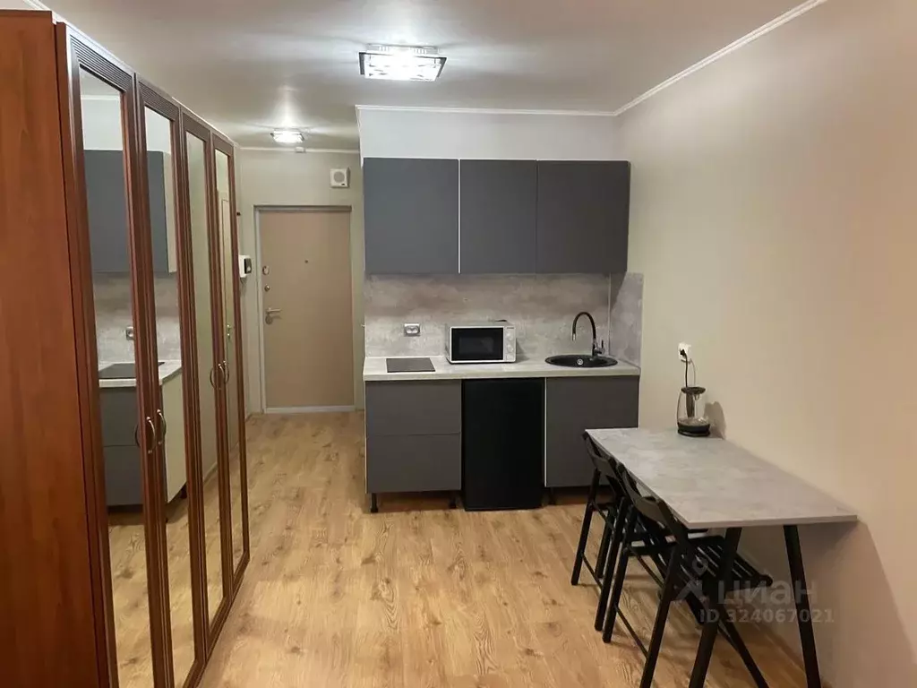 Студия Санкт-Петербург пос. Парголово, проезд Толубеевский, 8к2 (22.0 ... - Фото 1