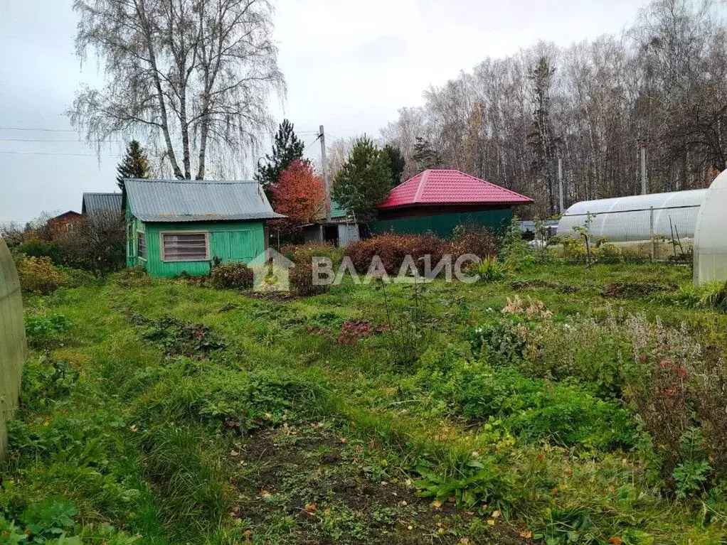 Участок в Новосибирская область, Новосибирск Любитель садоводческое ... - Фото 0