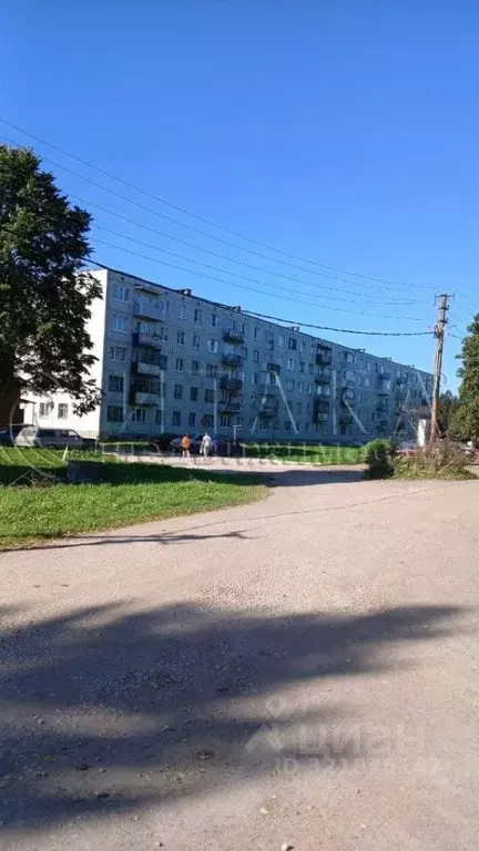 2-к кв. Ленинградская область, Волосовский район, Большеврудское ... - Фото 1