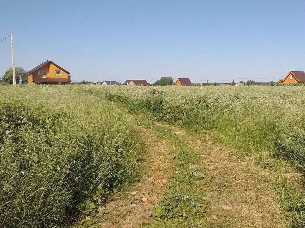 Участок в Новгородская область, Новгородский район, Трубичинское ... - Фото 1