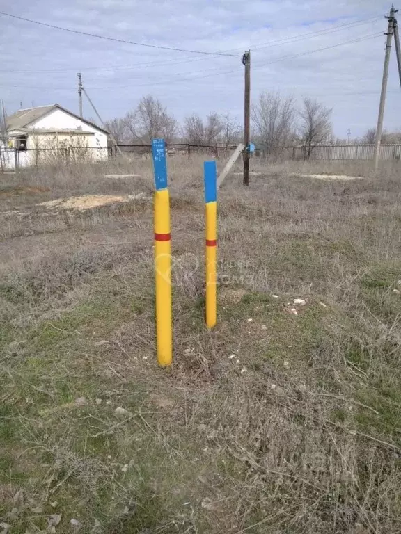 Участок в Волгоградская область, Городищенский район, Новонадеждинское ... - Фото 2