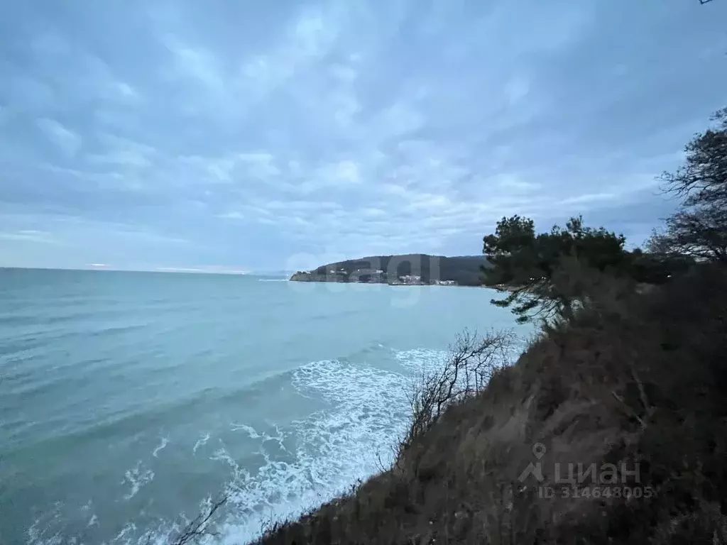 Участок в Краснодарский край, Геленджик  (97.2 сот.) - Фото 1