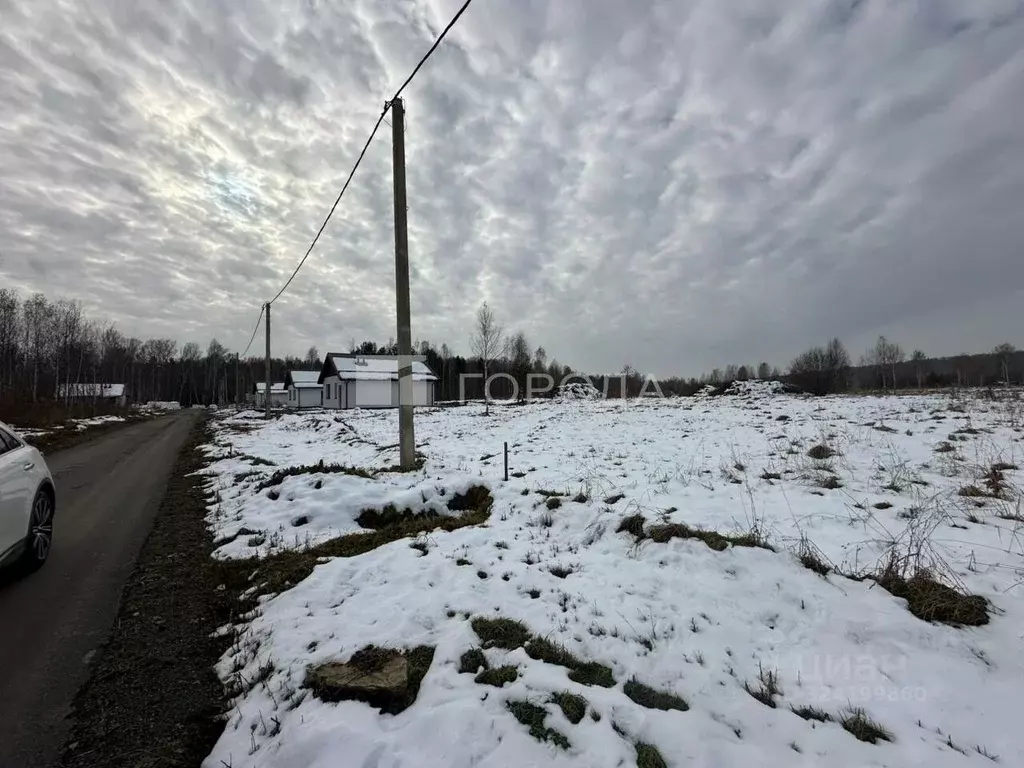 Участок в Новосибирская область, Новосибирский район, с. Плотниково, ... - Фото 2