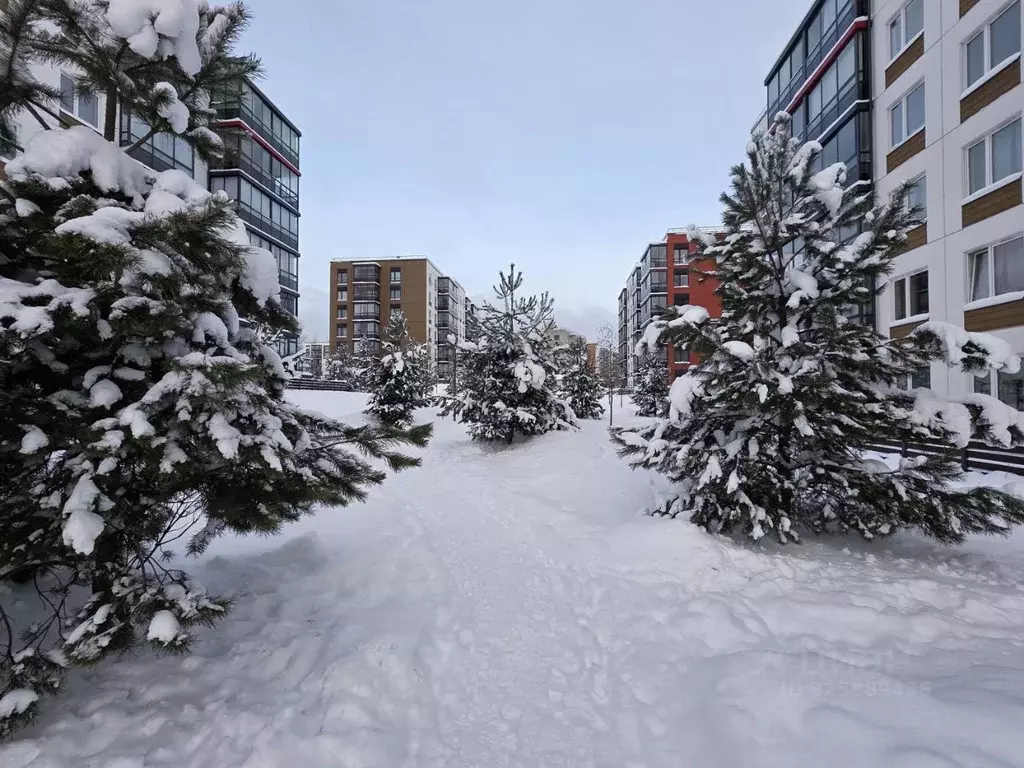 2-к кв. Ленинградская область, Всеволожск ул. Рябиновая Роща, 4к8 ... - Фото 1