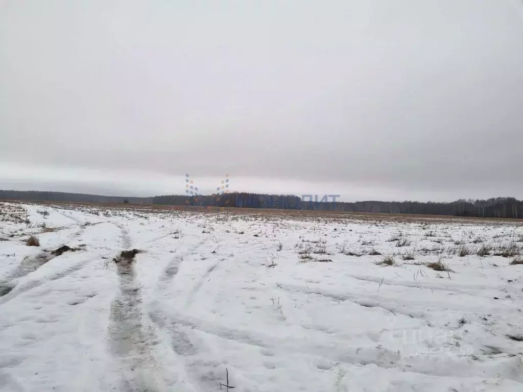 Участок в Нижегородская область, Нижний Новгород д. Карабатово, ул. ... - Фото 2