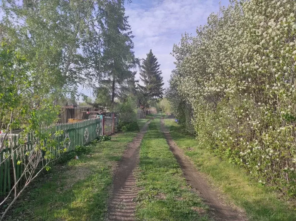 Участок 5 сот. (СНТ, ДНП) - Фото 0