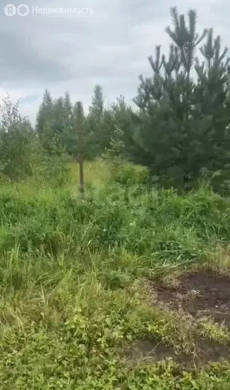 Участок в сельское поселение Иваньковское, деревня Подосинки, улица ... - Фото 2