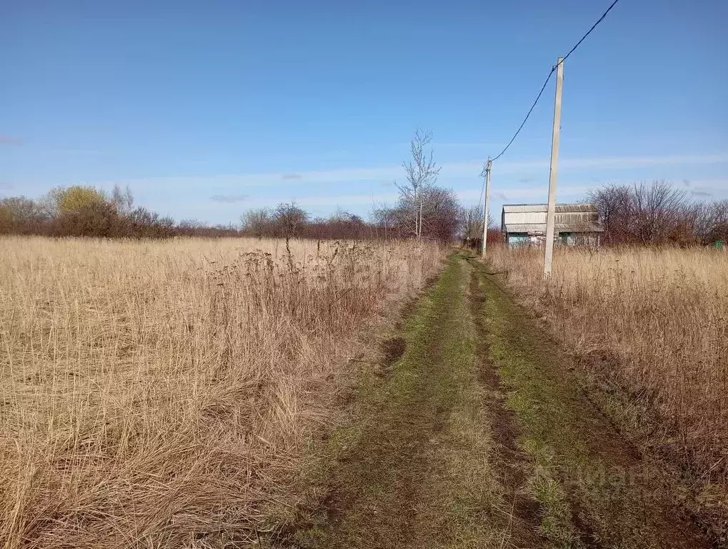 Участок в Курская область, Курский район, Ноздрачевский сельсовет, ... - Фото 1