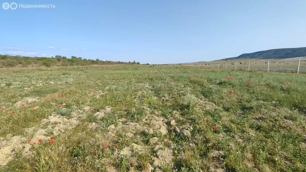 Участок в Бахчисарайский район, Железнодорожненское сельское ... - Фото 1