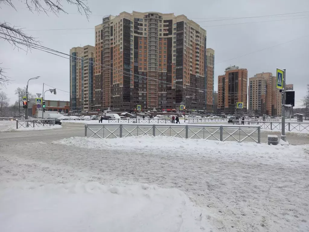 2-к кв. Санкт-Петербург ул. Бутлерова, 11к4 (64.0 м) - Фото 0