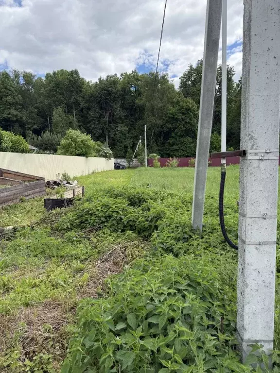 Участок в Московская область, Коломна городской округ, с. Северское  ... - Фото 2
