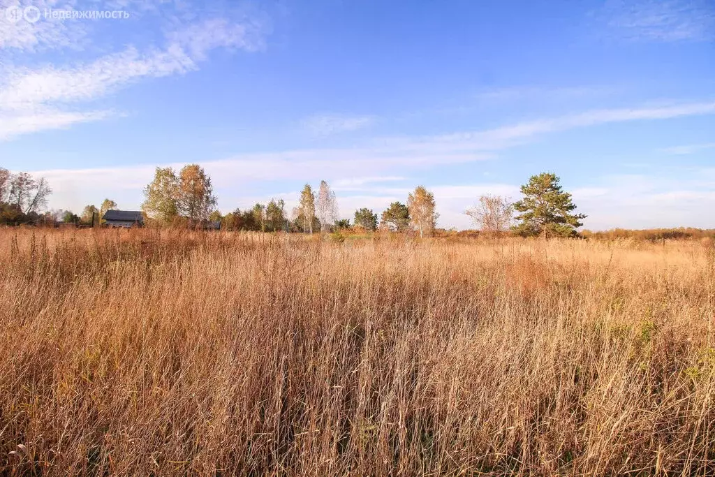 Участок в Первомайский район, СНТ Лесные поляны, Полевая улица (8.32 ... - Фото 2