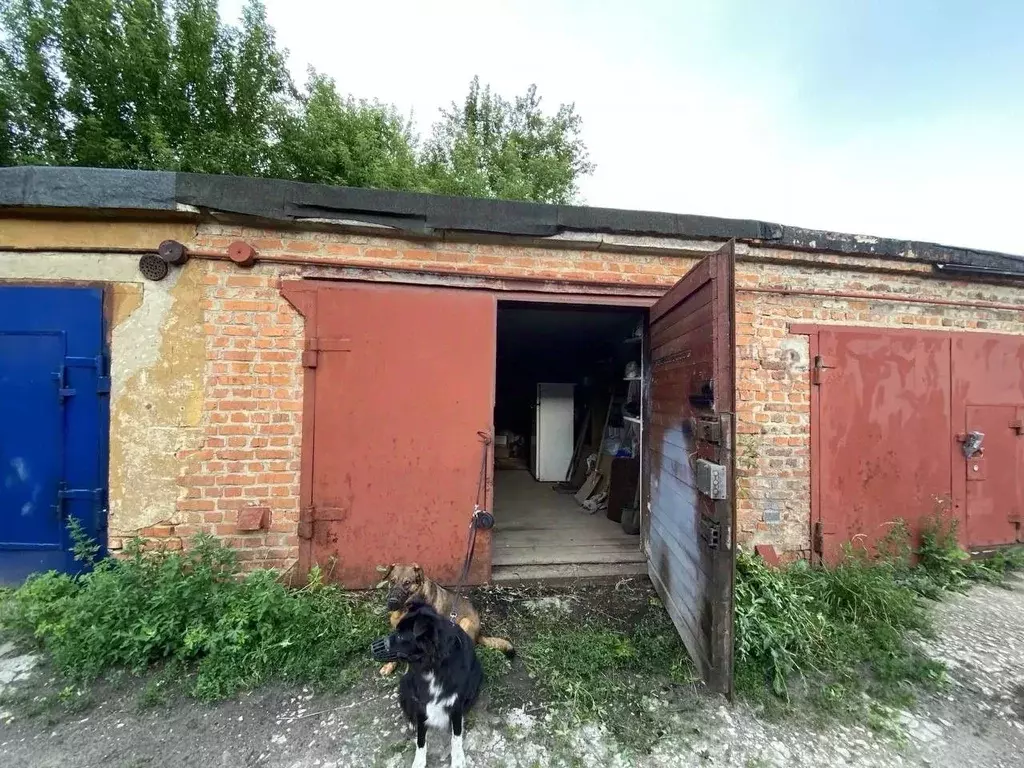 Гараж в Тульская область, Узловая ул. Циолковского (24 м) - Фото 2