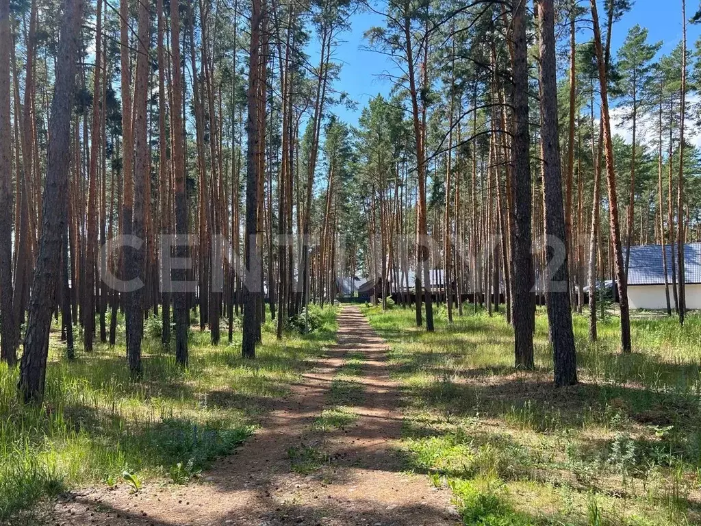 Дом в Липецкая область, Грязинский район, Ярлуковский сельсовет, с. ... - Фото 0