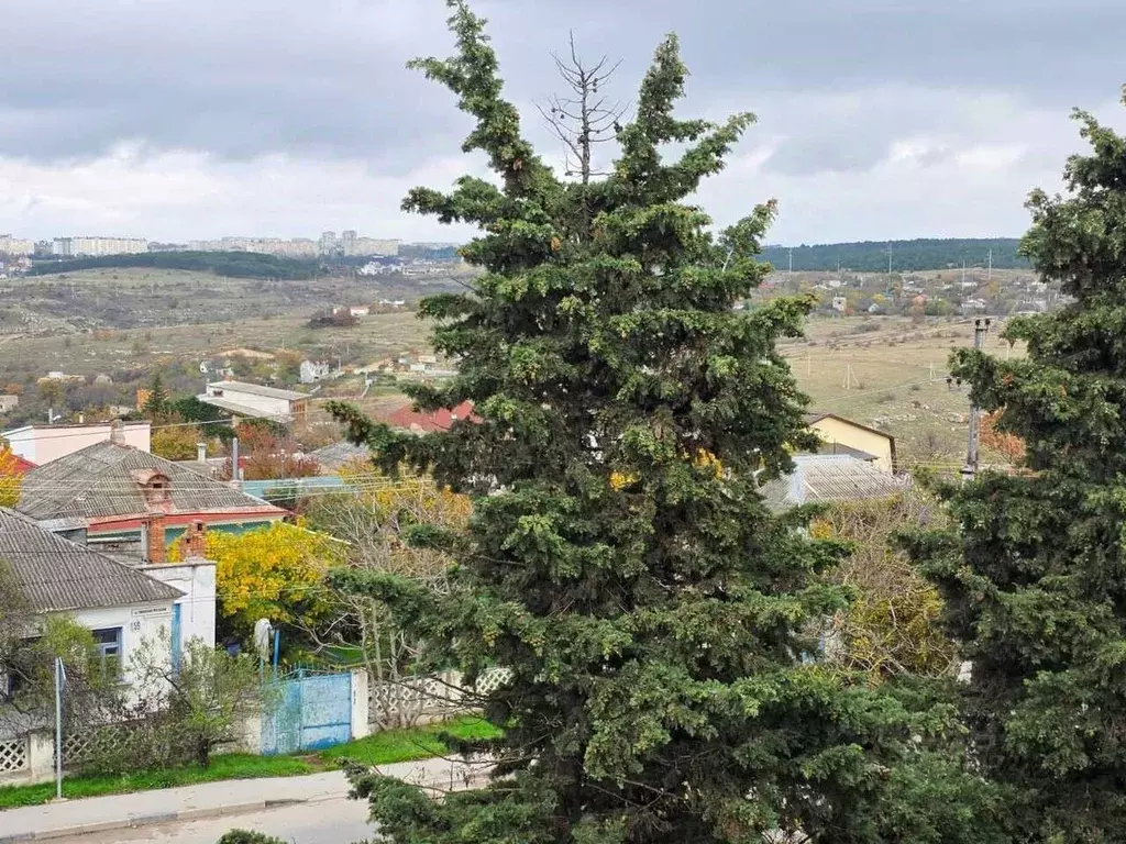 Комната Севастополь ул. Николая Музыки, 92 (24.5 м) - Фото 1