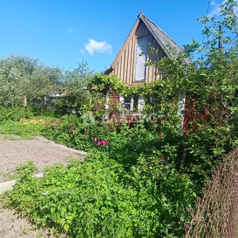 Дом в Калининградская область, Калининград Колосок СНТ, ул. Песочная ... - Фото 1