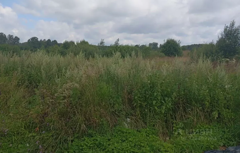 Участок в Московская область, Можайский муниципальный округ, Дома ... - Фото 2