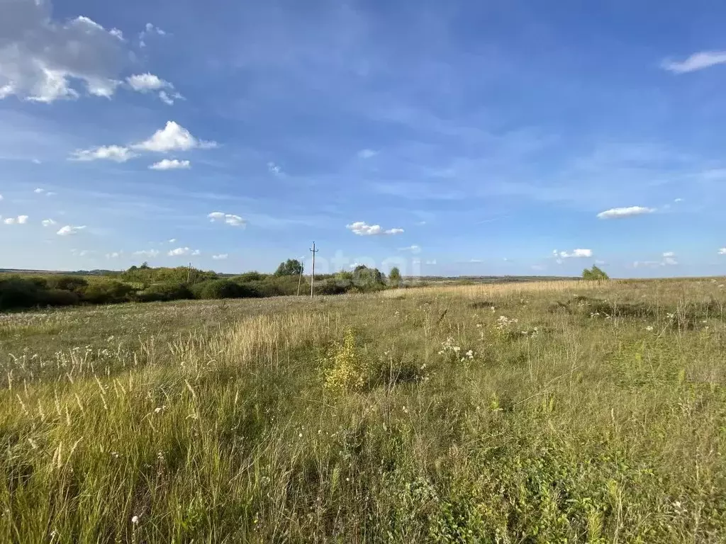 Участок в Мордовия, с. Лямбирь ул. Мира (10.0 сот.) - Фото 2