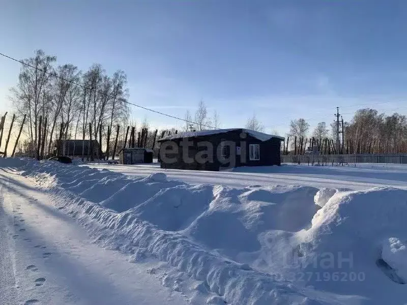 Участок в Новосибирская область, Новосибирский район, Сибирские ... - Фото 1