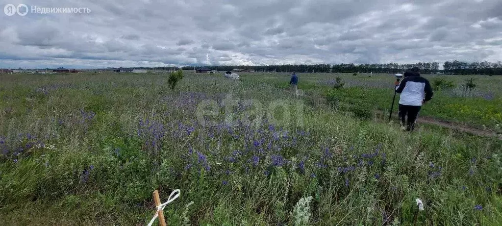 Участок в Хохлово, Солнечная улица (15 м) - Фото 1