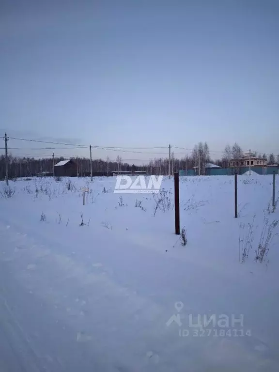 Участок в Челябинская область, Аргаяшский муниципальный округ, с. ... - Фото 1