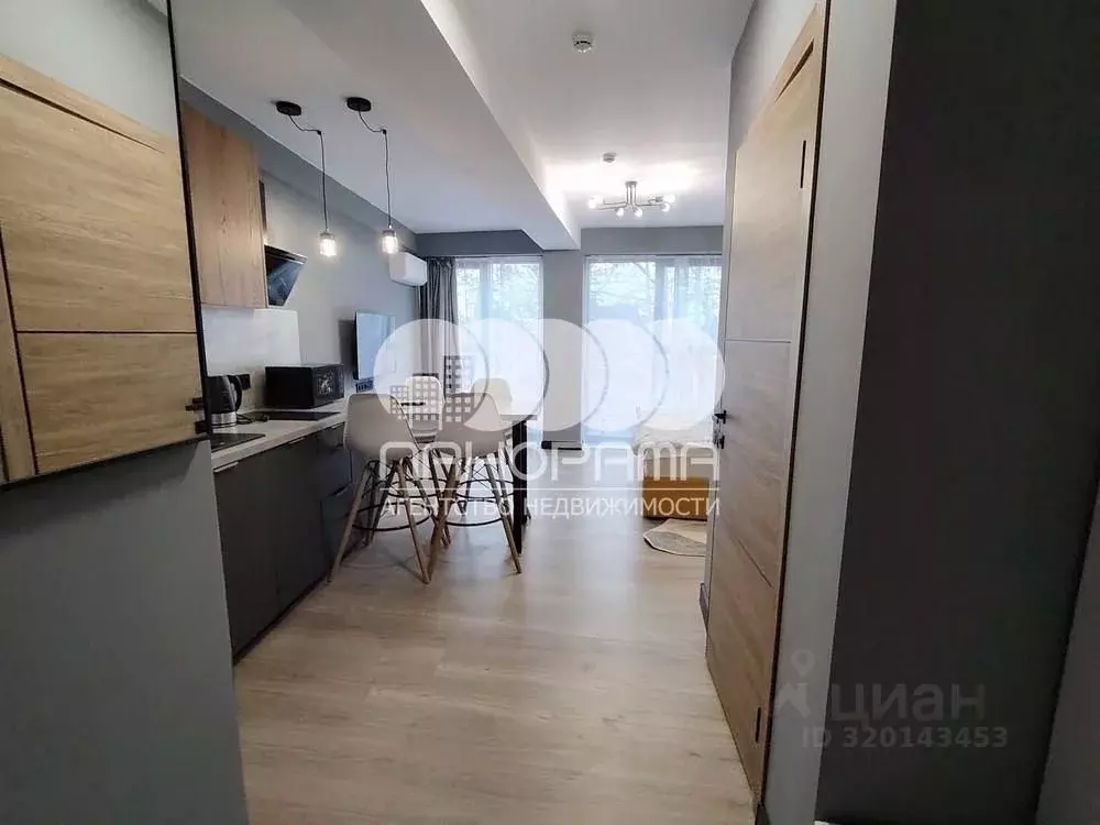 Студия Краснодарский край, Анапа Гребенская ул., 41 (30.0 м) - Фото 2