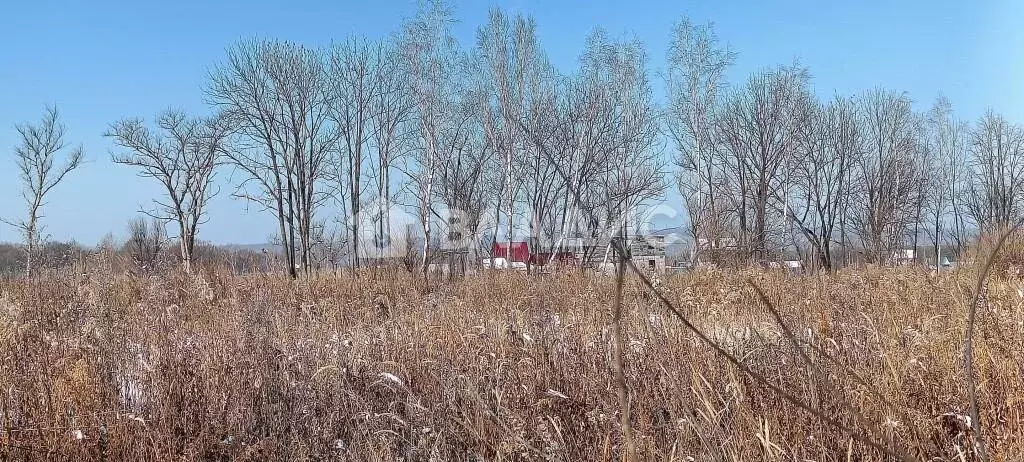 Участок, 60 сот., сельхоз (снт или днп) - Фото 1