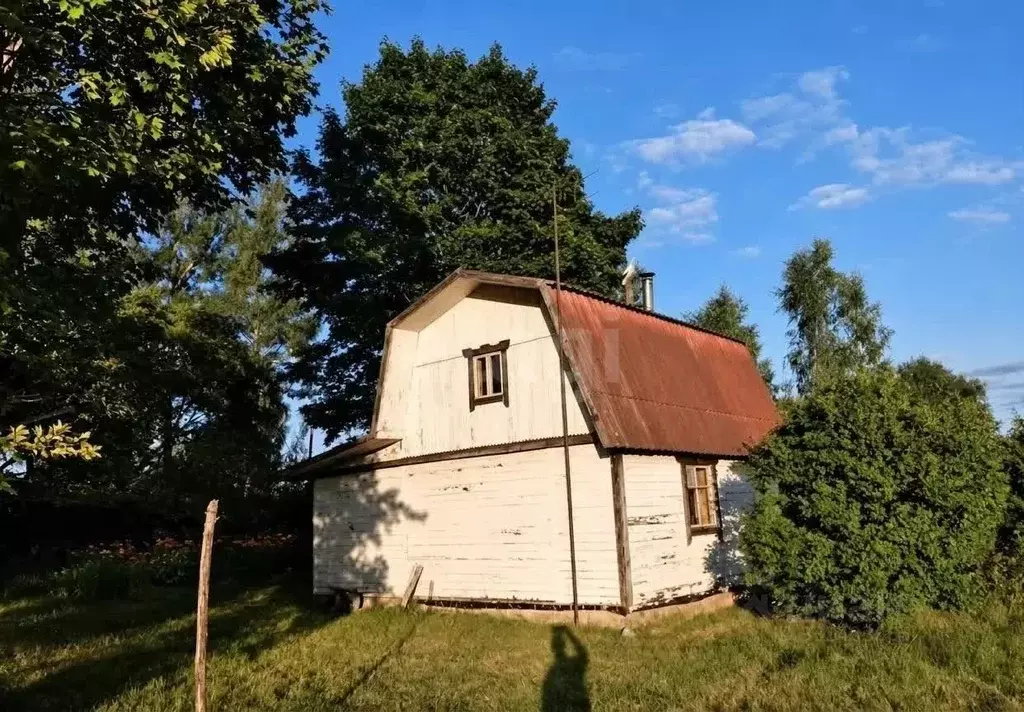 Дом в Псковская область, Островский муниципальный округ, д. Свеклино  ... - Фото 1