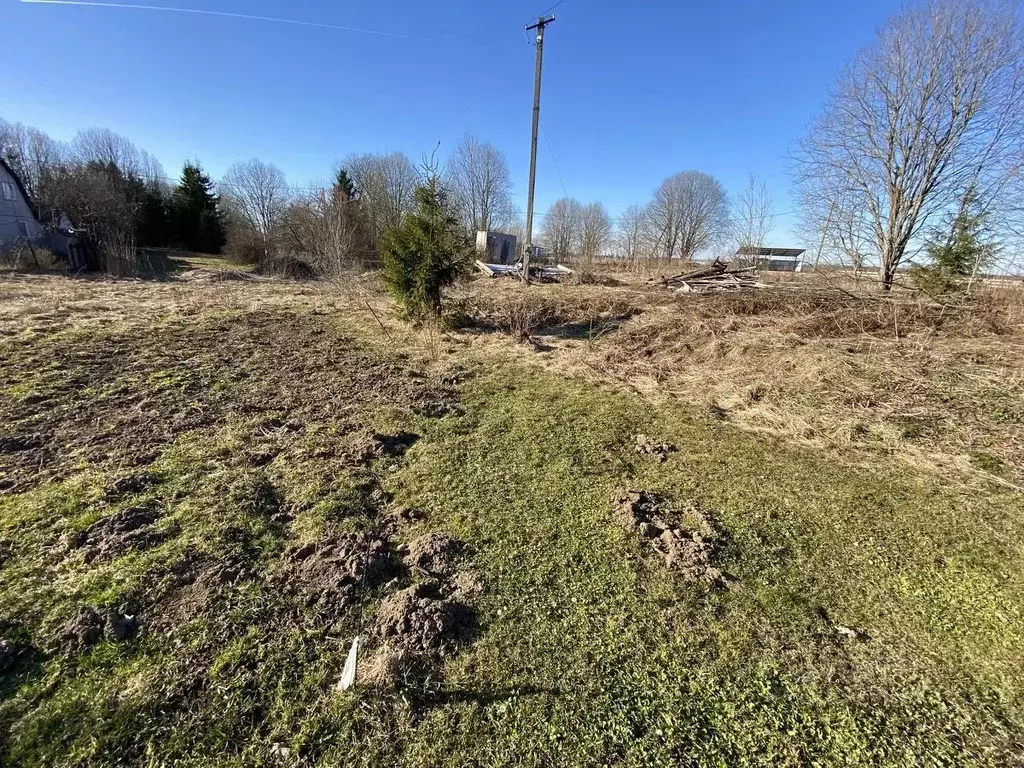 Участок в Ленинградская область, Волосовский район, Клопицкое с/пос, ... - Фото 2