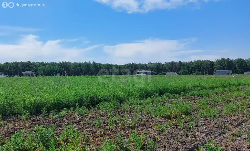 Участок в село Каменка, КП Завидово (40 м) - Фото 1
