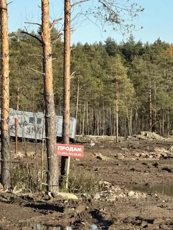 Участок в Ленинградская область, Всеволожское городское поселение, ... - Фото 0