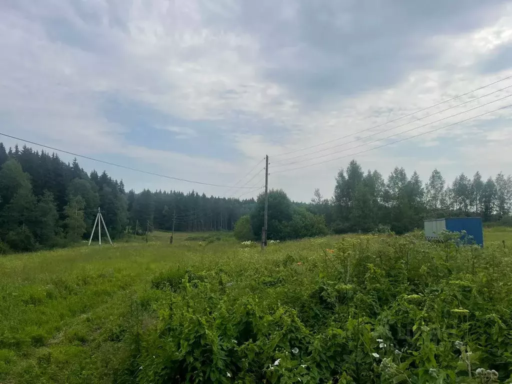 Участок в Московская область, Сергиево-Посадский городской округ, д. ... - Фото 1
