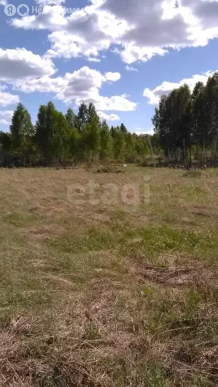 Участок в Нижнетавдинский район, коттеджный посёлок Земляника (442 м) - Фото 1